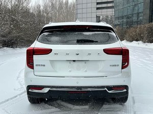Haval First Love Auto 2021 Usata, Terza Generazione, 1.5T, Sistema di Riconoscimento Emotivo 360 °   Connettività Intelligente per Parcheggio Automatico - Product Image 5