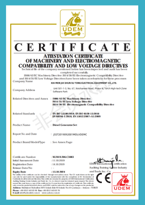 JSST 1MW 2MW 3MW 2000KVA 3000kVA Generador en contenedor Planta de energía de respaldo para campos petroleros Hz | 50/60Hz Genset Generador - Product Image 6