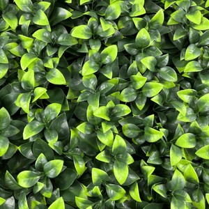 Clôture de <span class=keywords><strong>haie</strong></span> en treillis de lierre artificiel pour balcon et patio - Product Image 2