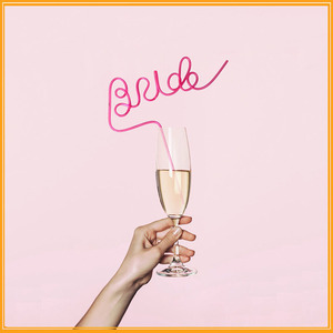 حفلة العازبة الحيوانات الأليفة القش العروس دش زينة الزفاف لتكون هدية العروس - Product Image 6