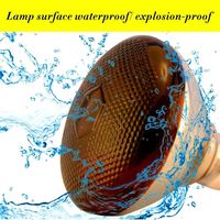 Lampe chauffante rouge ampoules infrarouges PAR38/250 Watts ampoule de lampe en verre pour Service alimentaire, ampoule de couveuse, poussins, animal de compagnie, salle de bain
