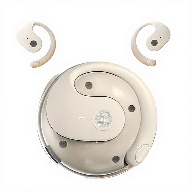 100+ Languages & Accents,Translator Device Real Time AI OWS Language Translator Earbuds for Travel Business and Learning