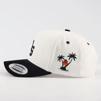Op maat gemaakte promotionele vintage formele 5-delige baseballcap met 3D puff borduurwerk, fruitlogo, gebogen klep, twill, ademend en waterdicht