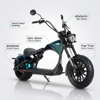 Skuter Chopper Citycoco, Sepeda Motor Listrik Citycoco, Skuter Citycoco 2000W