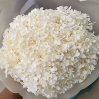 Anna Hortensia Hortensia Bloemenarrangementen Home Restaurant Decor Bruiloften Valentijnsdag Moederdag Langdurig 3-5 Jaar