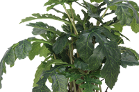 Senmasine-Fausse Plante Artificielle en Pot de 60cm à 21 Tête, Feuilles de Pastèque, Petite Plante Verte en Pot Noir, Décor de Jardin, Maison, Bureau