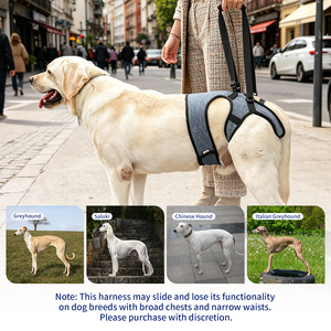 Arnés de Soporte para Patas Traseras de Perros Grandes, Ajustable, para Rehabilitación de Perros Mayores o con Discapacidad - Product Image 6