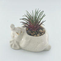 2025 Pots succulents d'intérieur décoratifs pour la maison Couvertures de pots de fleurs en céramique pour une utilisation en extérieur et en intérieur