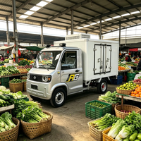 Mini camionnette électrique à quatre roues avec 2 sièges, camion frigorifique à basse vitesse pour le transport en chaîne du froid