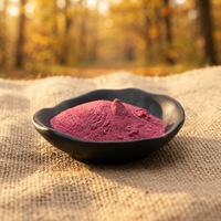 Fabriekslevering 100g monster Acai-bessenpoeder Hoge kwaliteit Aronia-bessenextract 25% Anthocyanen Maqui-bessenextract
