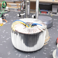 Transformador Médico Toroidal Personalizado de 230V/240V con Salida de 380V, Transformador de Potencia de Audio de Aislamiento de Alta Eficiencia con Certificación CE RoHS