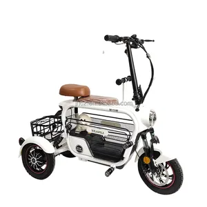 Новый дизайн 12 дюймов портативный изготовленный на заказ электрическая машинка для стрижки животных-велосипед электрический скутер с домашними животными