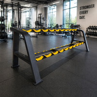 Support de rangement pour haltères en gros, 2 niveaux, 10 paires, en forme de A, jaune, anti-rayures, pour salle de sport commerciale et usage domestique