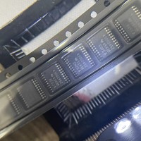 SACOH - Proveedor de Microcontroladores MCU con Microchip IC Original de Alta Calidad, MSP430G2452IPW20R
