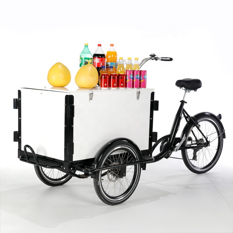 電動三輪車 大人用 カーゴバイク リカンベントトライク 小型