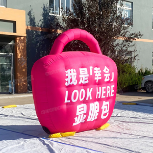 <span class=keywords><strong>Aero</strong></span> 2.4m largeur personnalisé géant publicité sac gonflable dessin animé - Product Image 4