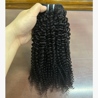 Lots de Cheveux Humains Bruts Vietnamiens 4B 4C Bouclés, Extensions Afro Kinky Curly 4A Alignées avec les Cuticules, Tissages 4B en Gros