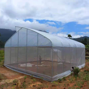 Serre tunnel agricole en plastique à simple portée, économique, à dents de scie - Product Image 4