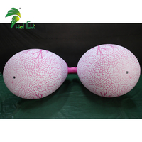 Modèle gonflable géant humain de poumon de ballon gonflable en plastique de PVC d'affichage de promotion d'événement