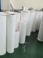 Service OEM, plaque en fluoroplastique souple blanche, antiadhésive, pour machines d'emballage, bande de guidage de convoyeur, feuille de PTFE expansée