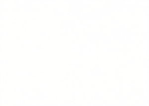 T-shirt casual da donna con stampa arcobaleno per la festa della donna, 100% cotone, girocollo, manica corta, primavera estate - Product Image 1