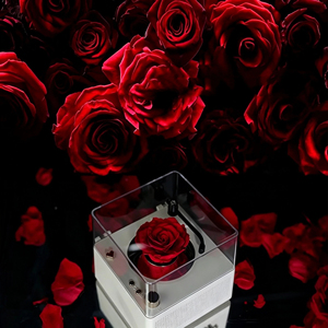 Altavoz con Diseño de Rosa y Luces LED, Lindo Altavoz Bluetooth para el Hogar, Fiestas, <span class=keywords><strong>Karaoke</strong></span> y Viajes, Sistema de Sonido Moderno - Product Image 5