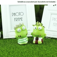 Poupée en herbe DIY, pots de plantes uniques en forme de grenouille, artisanat végétal créatif, cadeau, micro-pot en céramique, logo imprimé grenouille en couple