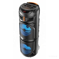Système de sonorisation PA avec haut-parleur trolley double woofer de 8 pouces, boîte audio sans fil BT, sortie haute puissance 20 W, RGB