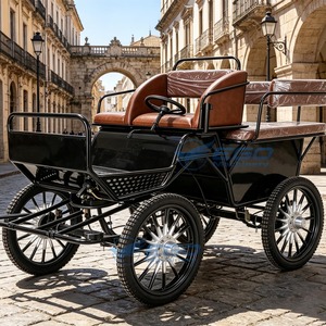 Le marathon électrique de haute qualité et très populaire est utilisé pour l'entraînement au marathon dans les clubs d'équitation. Transport spécial. - Product Image 4