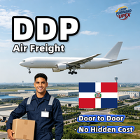Agente de Envío DDP en República Dominicana, Servicio de Logística de Carga Aérea, Almacenamiento, Envío Exprés Puerta a Puerta en Contenedor de 20 pies, DR Internacional, Confiable y Seguro