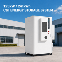 125kW 241kWh C&I Enerji Depolama Sistemi LiFePO4 Batarya ESS, Tepe Tüketimini Düşürme, Talep Yönetimi, Güneş Enerjisi Kendi Kendine Tüketim EMS Projesi için