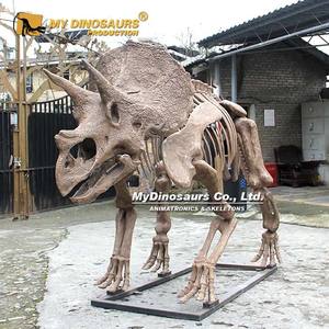My Dino Theme Playground Tamaño real <span class=keywords><strong>Triceratops</strong></span> <span class=keywords><strong>Dinosaurio</strong></span> <span class=keywords><strong>Esqueleto</strong></span> - Product Image 2