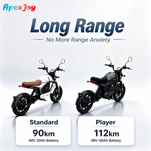 ApexJoy Tromox M03Q Moto Elettrica 2500W con Faro Rotondo, Sella Marrone, Produzione a Contratto per Importatori - Product Image 6