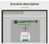 Mini Módulo de interruptor de cortina inteligente WiFi RF433 Tuya Smart Life para persiana enrollable eléctrica Motor de persiana funciona con Alexa Google Home