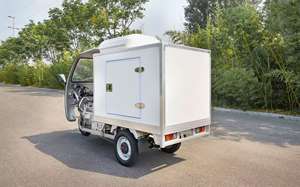 Tricycle Motorisé avec Chambre Froide et Système de Contrôle Électronique Intelligent Tricycles Motorisés avec Chambre Froide Tricycle à 3 Roues avec Chambre Froide - Product Image 5
