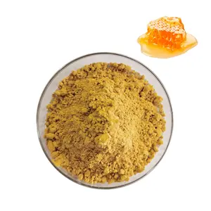 Materia prima antiossidante in polvere di polline d'api naturale puro per uso alimentare