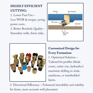 פתרון קידוח אמין - מקדח <span class=keywords><strong>PDC</strong></span> עם גוף פלדה לחיפושי כרייה וקידוח בפורמציות קשות - Product Image 6