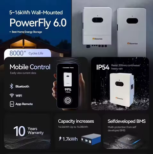 ระบบแบตเตอรี่เก็บพลังงานสำหรับเครื่องใช้ไฟฟ้าภายในบ้าน 200Ah 5-20KWh แบบติดผนัง 6000 รอบการใช้งาน พลังงานแสงอาทิตย์ สำหรับสต็อกสินค้า อายุการใช้งานยาวนานกว่า 15 ปี - Product Image 6
