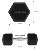 Haltères hexagonales de 10 lb, haltères de 20 et 12 lb
