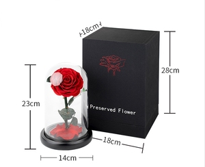 Regalo <span class=keywords><strong>de</strong></span> alta calidad, rosas preservadas en caja en cúpula <span class=keywords><strong>de</strong></span> cristal, Ideas creativas para regalos, <span class=keywords><strong>de</strong></span> la madre Día, Día <span class=keywords><strong>de</strong></span> <span class=keywords><strong>San</strong></span> Valentín, novia, esposa, regalo - Product Image 6