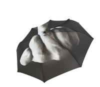 Échantillon gratuit, faible MOQ, design personnalisé, parapluie amusant unique avec le doigt d'honneur
