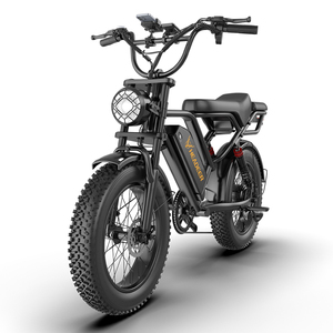 Bicicleta Eléctrica de Montaña HEADER, 20 Pulgadas, Neumáticos Anchos, Motor sin Escobillas de 48V 750W, Doble Suspensión, Bicicleta Eléctrica para Adultos - Product Image 1