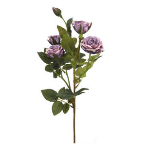 27 "DIAMANTE <span class=keywords><strong>FLORIBUNDA</strong></span> <span class=keywords><strong>ROSA</strong></span> FLOR SPRAY, 4F 1B[EF11054] - Product Image 4