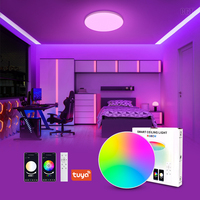 Plafonnier rond intelligent à commande intelligente, style moderne, 20W LED, application TUYA, éclairage intelligent pour cuisines