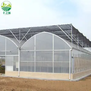 농업 멀티 스팬 아치 플라스틱 필름 온실 토마토 온실과 딸기 꽃 온실 턴키 프로젝트