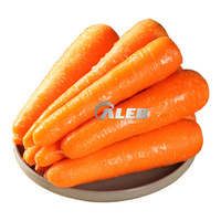 Récolteuse automatique de pommes de terre pour l'agriculture / Machine de récolte d'oignons, d'ail, de pommes de terre, de carottes et de riz