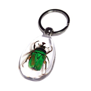 Cao trong suốt nước thả vàng thực Bọ Cạp côn trùng trong nhựa Keychain Acrylic vòng chìa khóa nhựa thủ công mỹ nghệ - Product Image 5