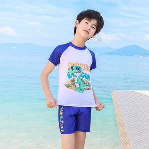 Maillot de bain deux pièces pour garçons, séchage rapide, motif dinosaure de dessin animé, pour la natation et les sports nautiques, taille enfant moyenne et grande - Product Image 3