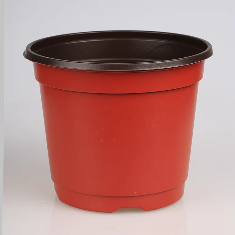 Noir rouge