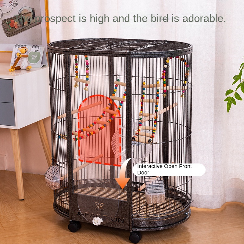 How to Choose the Best Large Bird Foraging Toys: A Complete Buying Guide